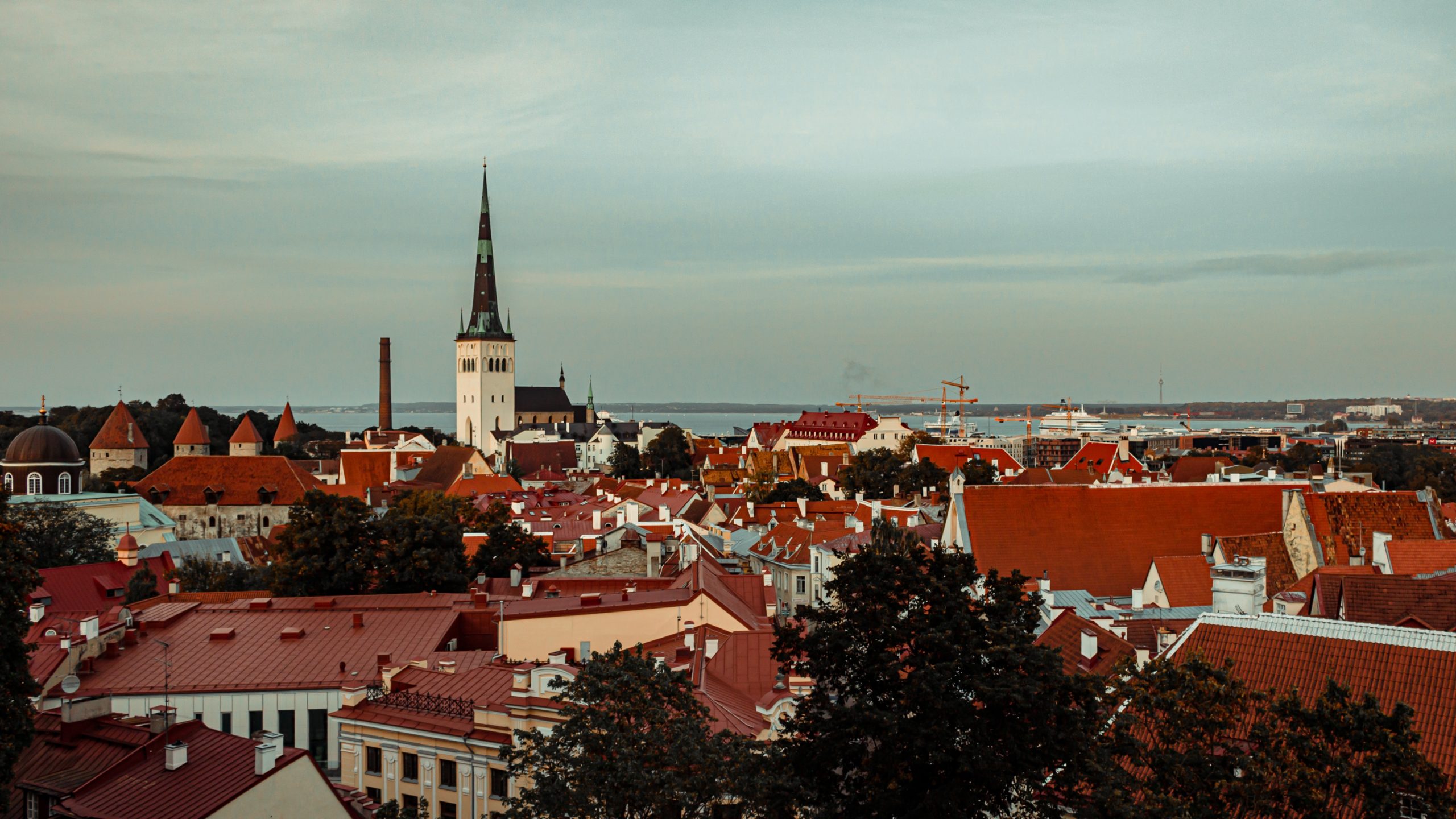 Reiser i vår europeiske bakgård